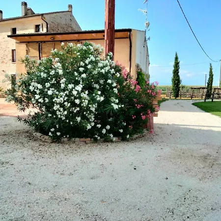 Location Castel Goffredo Apartment *